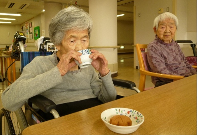 2026新茶