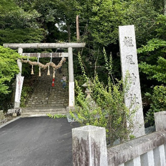 2026初夏