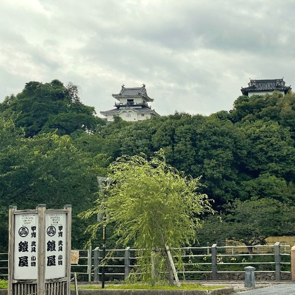 2026初夏