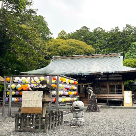 2026初夏